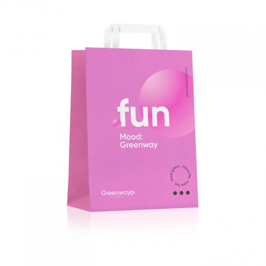 Пакет «Fun» малый, 32 х 22 х 12 см
