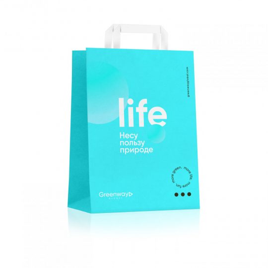Пакет «Life» малый, 32 х 22 х 12 см